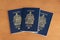 Canadian passports and covid masks