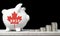 Canadian Registered Retirement Savings Plan