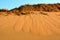 Canadian Sand Dunes Prince Eduard Island