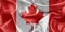 Canadian satin flag