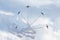 Canadian Snowbirds aerobatic team