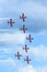 Canadian Snowbirds Show