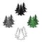 Canadian spruce. Canada single icon in cartoon style vector symbol stock illustration web.
