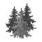 Canadian spruce. Canada single icon in monochrome style vector symbol stock illustration web.