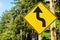 Canadian Traffic Sign along a a Forest Road with Curves