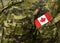 Canadian troops. Canadian Army. Canada flags on soldiers arm.