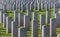 Canadian war graves