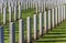 Canadian war graves