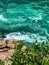 Canadian whirlpool and rapids downstream from Niagara Falls