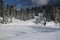 Canadian winter long path snow admire landscapes