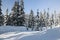 Canadian winter long path snow admire landscapes