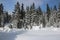 Canadian winter snow admire landscapes