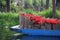 Canal boat full of bags of fresh Poinsettia - Xmas/Christmas Flower in Xochimilco