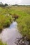 Canal in Everglades