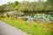 Canal in everglades national park