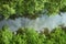 Canal flowing through mangrove forest with reflection of cloud and sky