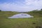 Canal with green grass and vegetation reflected in the water nearby Padma River