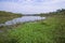 Canal with green grass and vegetation reflected in the water nearby Padma River