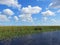 Canal through marshland in Southwest Florida