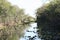 A canal out in the Everglades