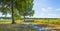 Canal with reed in a rural area below a blue  sky in sunlight in spring