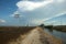 Canal runs across paddy fields