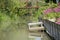 Canal, small footbridge, pink flowers growing in the garden