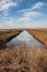 A canal in the Suisun Marsh near Grizzly Islan