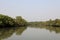 A canal in Sundarbans