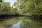 A canal in Sundarbans