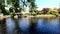 Canal view; beautiful houses; amazing scene