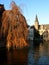 Canals of Bruges