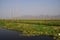 Canals intersect the floating vegetable gardens