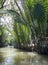 The canals in the Mekong Delta are surrounded by jungles and mangroves. Vietnamese rowing boats on canal waters