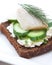 Canape with herring, cream cheese and cucumber