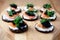 Canapes with salmon and caviar