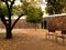 Canarian backyard with two chairs for a peaceful rest