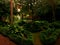 Canarian comfy backyard with a fury of green plants and the fountain