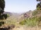 Canarian mountain vegetation , Spain