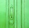canarias brass green closed wood abstract spain