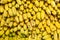 Canary bananas in a pile at market. Yellow texture background.