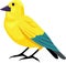 Canary bird