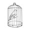 Canary bird in cage engraving vector illustration