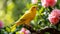 Canary Exotic birds and animals in wildlife in natural setting