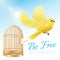 Canary Flying From Cage Poster