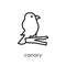 Canary icon. Trendy modern flat linear vector Canary icon on white background from thin line animals collection
