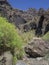 Canary Island, Tenerife, view on canyon Masca valley with rock,