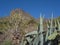 Canary Island, Tenerife, view on canyon Masca valley with rock,