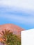 Canary Islands plants aesthetic. Palm and tropical countryside landscape. Stylish travel and nature wallpaper