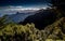 Canary Islands, Tenerife, forests and Mount Anage